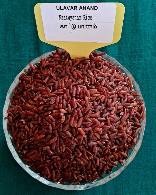 KAATUYANAM RICE (காட்டுயாணம்) -1KG KAATUYANAM RICE (காட்டுயாணம்) -1KG
