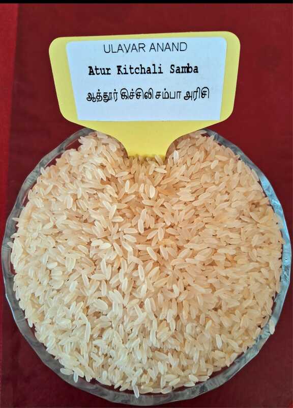 ATUR KITCHALI SAMBA RICE 1KG (ஆத்தூர் கிச்சிலி சம்பா அரிசி -1KG) ATUR KITCHALI SAMBA RICE 1KG (ஆத்தூர் கிச்சிலி சம்பா அரிசி -1KG)