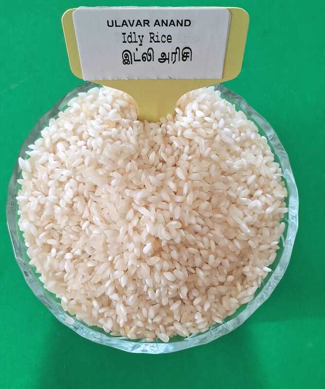 IDLY RICE 1KG (இட்லி அரிசி | 1 Kg) IDLY RICE 1KG (இட்லி அரிசி | 1 Kg)