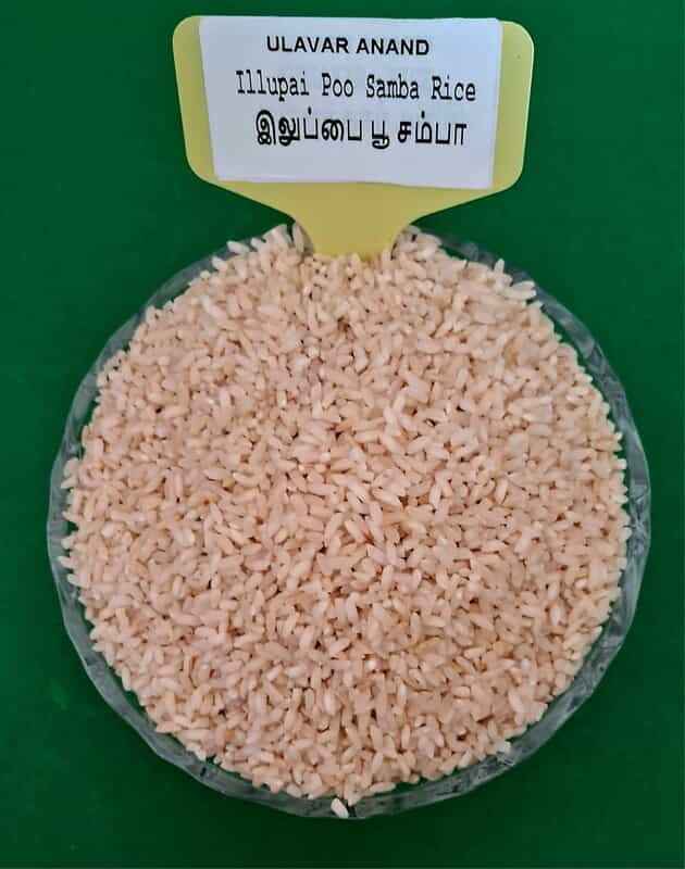 Illupai Poo Samba Rice 1 KG ( இலுப்பை பூ சம்பா 1 KG)