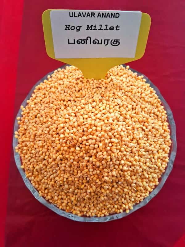 PANI VARAGU PROSO 1KG (பனிவரகு | 1Kg)