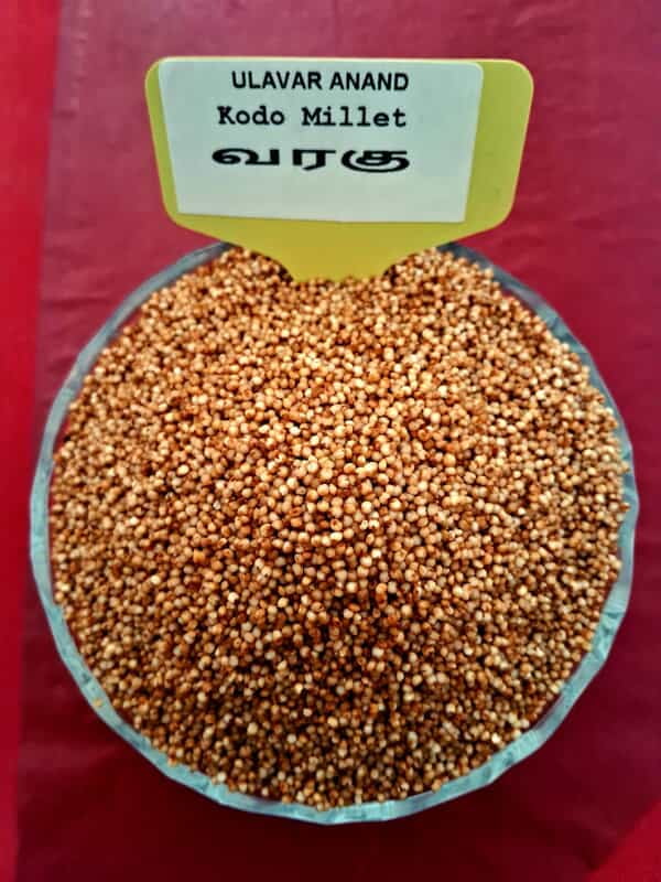VARAGU KODO MILLET 1 KG (வரகு | 1 Kg) VARAGU KODO MILLET 1 KG (வரகு | 1 Kg)