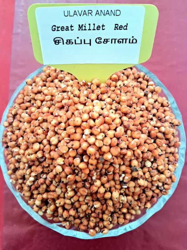 RED SOLAM 1KG (சிகப்பு சோளம் | 1 Kg) RED SOLAM 1KG (சிகப்பு சோளம் | 1 Kg)