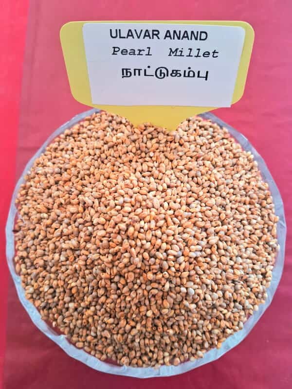 Kambu | Pearl Millet  (நாட்டு கம்பு | 1 Kg)