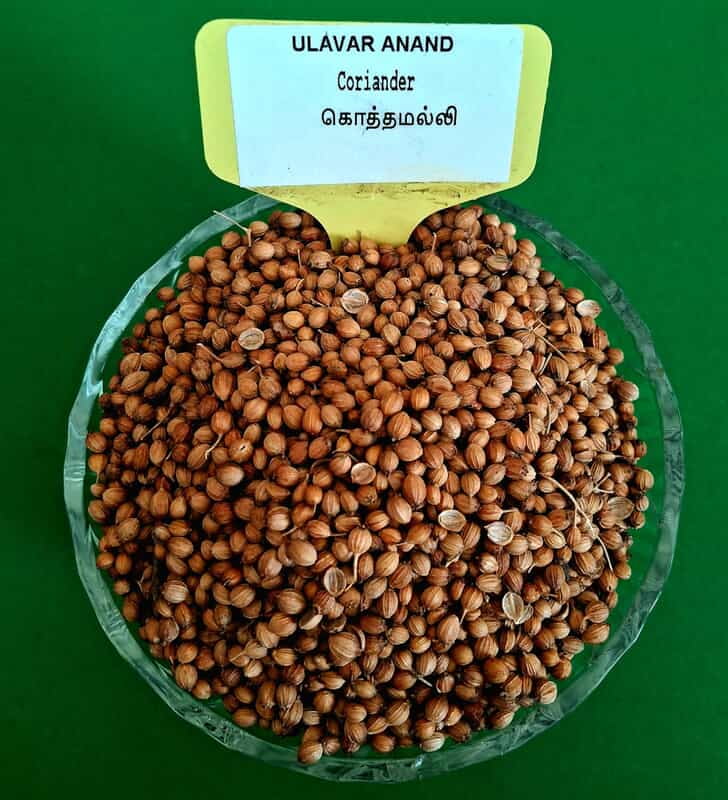 CORINDER 200G ( SPICES ) (கொத்தமல்லி | 200G) CORINDER 200G ( SPICES ) (கொத்தமல்லி | 200G)