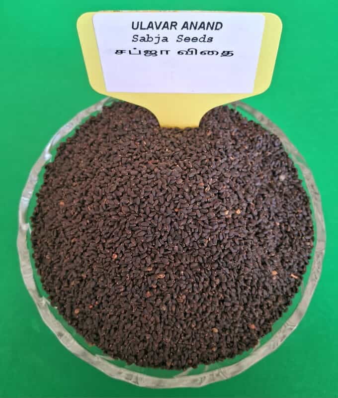 SABJA SEEDS 100G (சப்ஜா விதை | 100 G) SABJA SEEDS 100G (சப்ஜா விதை | 100 G)