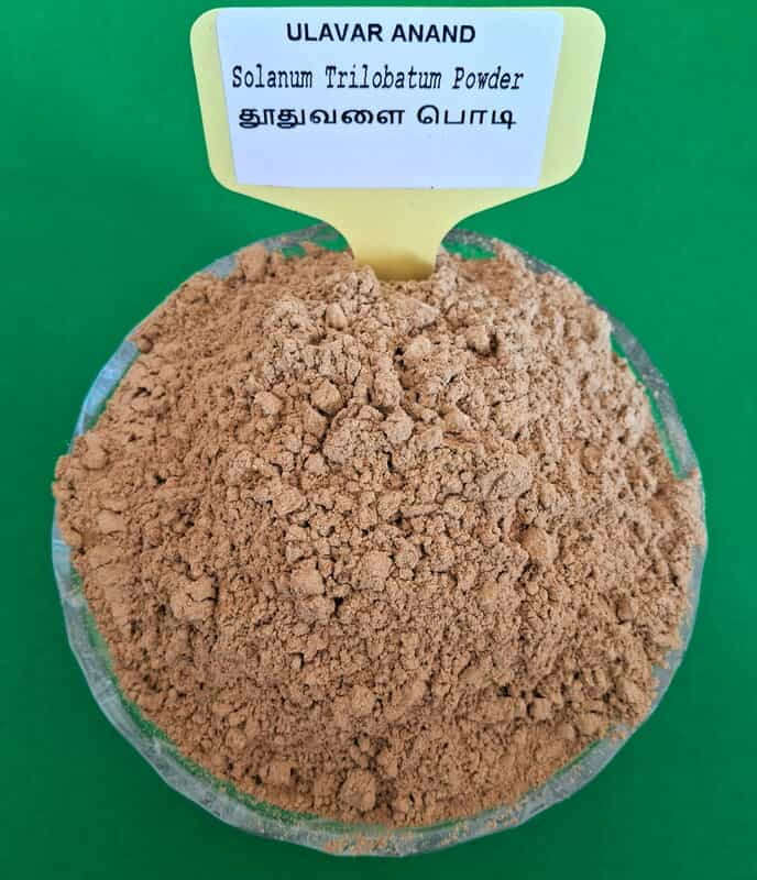 THUTHUVALAI POWDER 50G (தூதுவேளை பொடி | 50G (Intake)) THUTHUVALAI POWDER 50G (தூதுவேளை பொடி | 50G (Intake))