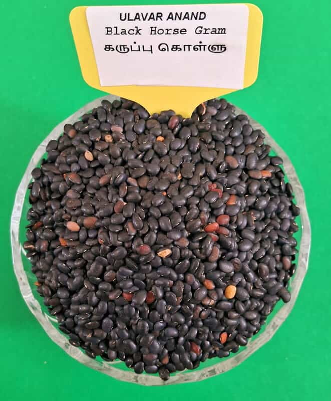 BLACK HORSE GRAM 200G KOLLU ( கருப்பு கொள்ளு பருப்பு |200G) BLACK HORSE GRAM 200G KOLLU ( கருப்பு கொள்ளு பருப்பு |200G)