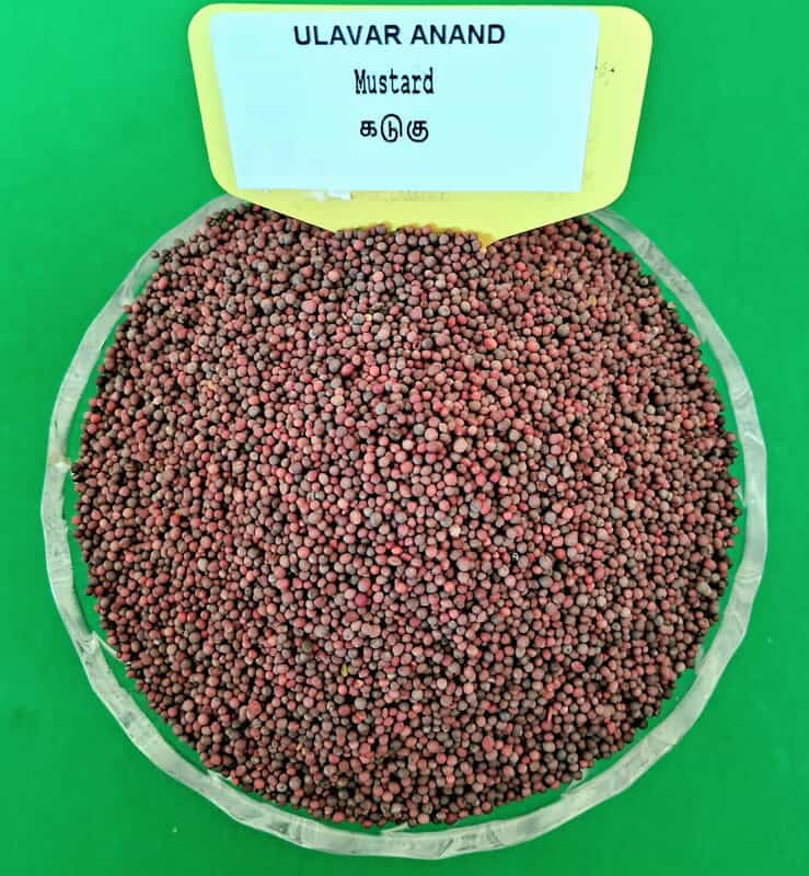 Mustard | கடுகு 100 Gram