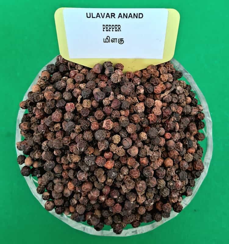 BLACK PEPPER 100G (மிளகு | 100G) BLACK PEPPER 100G (மிளகு | 100G)