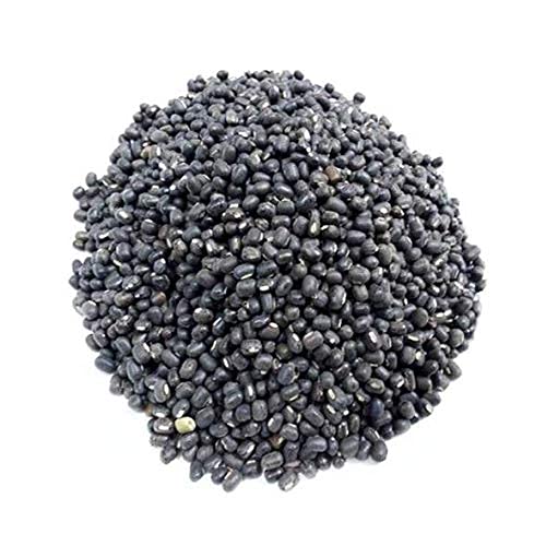BlackYard Bean | கருப்பு கொடி காராமணி