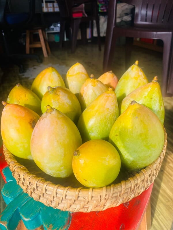 Mango - Kilimooku 1kg Mango - Kilimooku 1kg