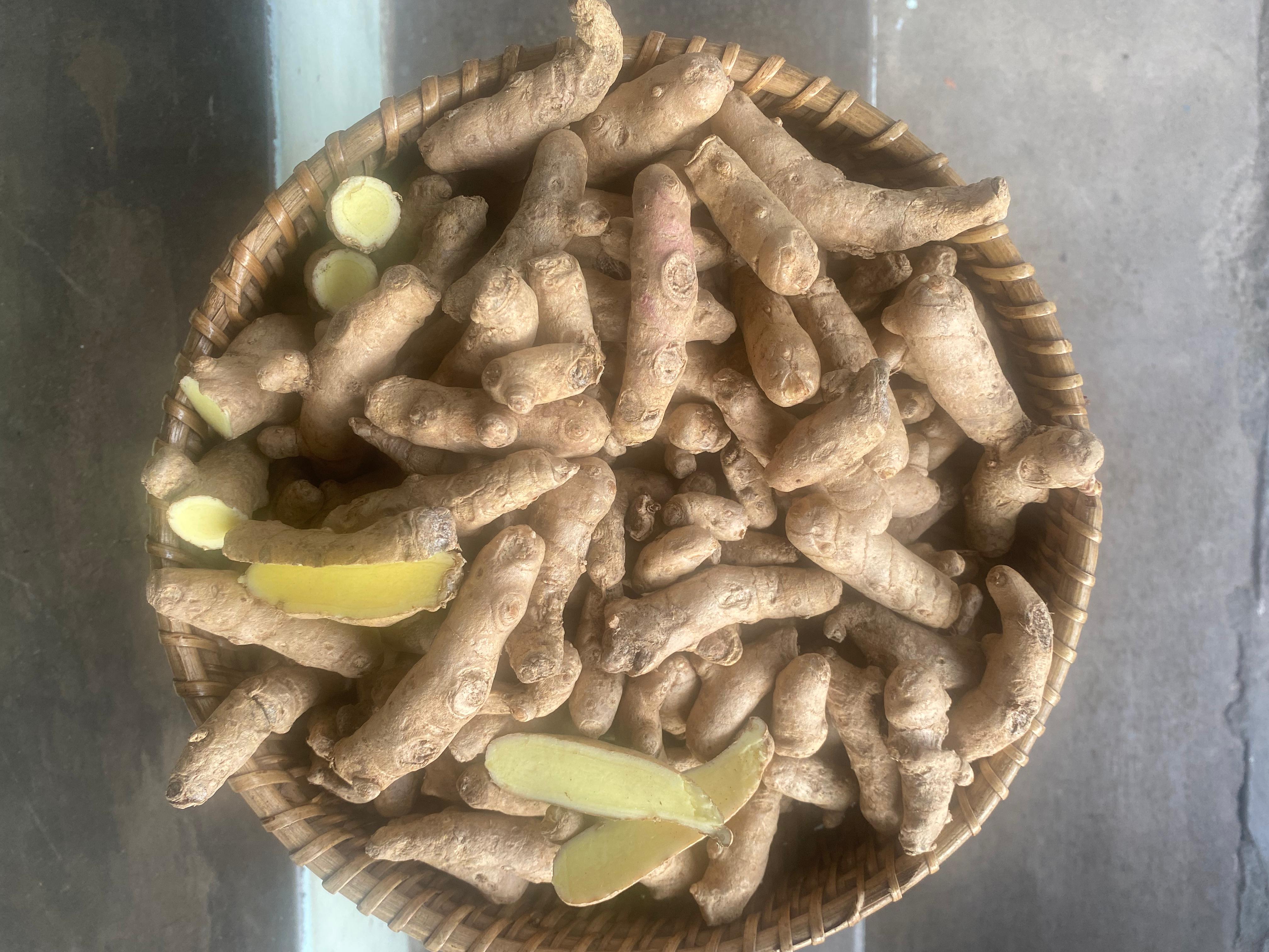 Mango Ginger Seed Mango Ginger Seed