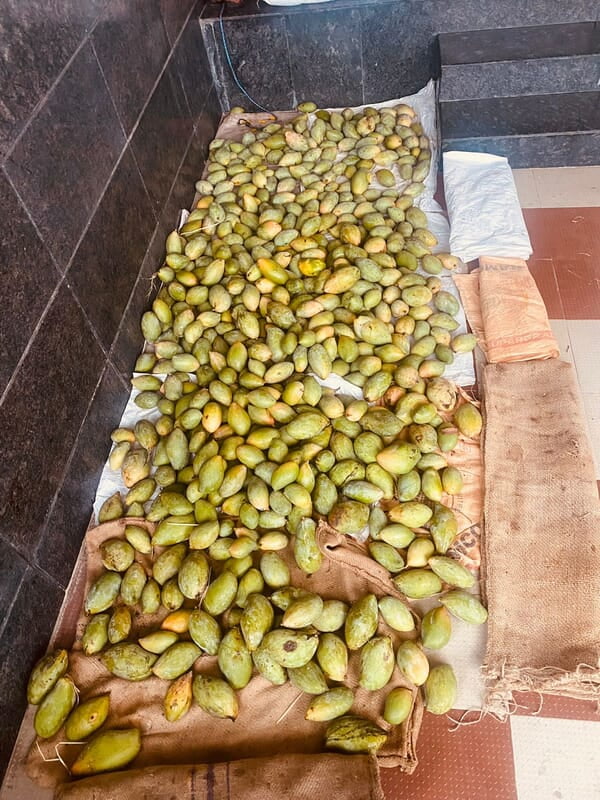 Mango - Kilimooku 5kg Mango - Kilimooku 5kg