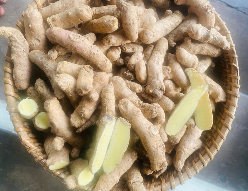 Mango Ginger Seed Mango Ginger Seed
