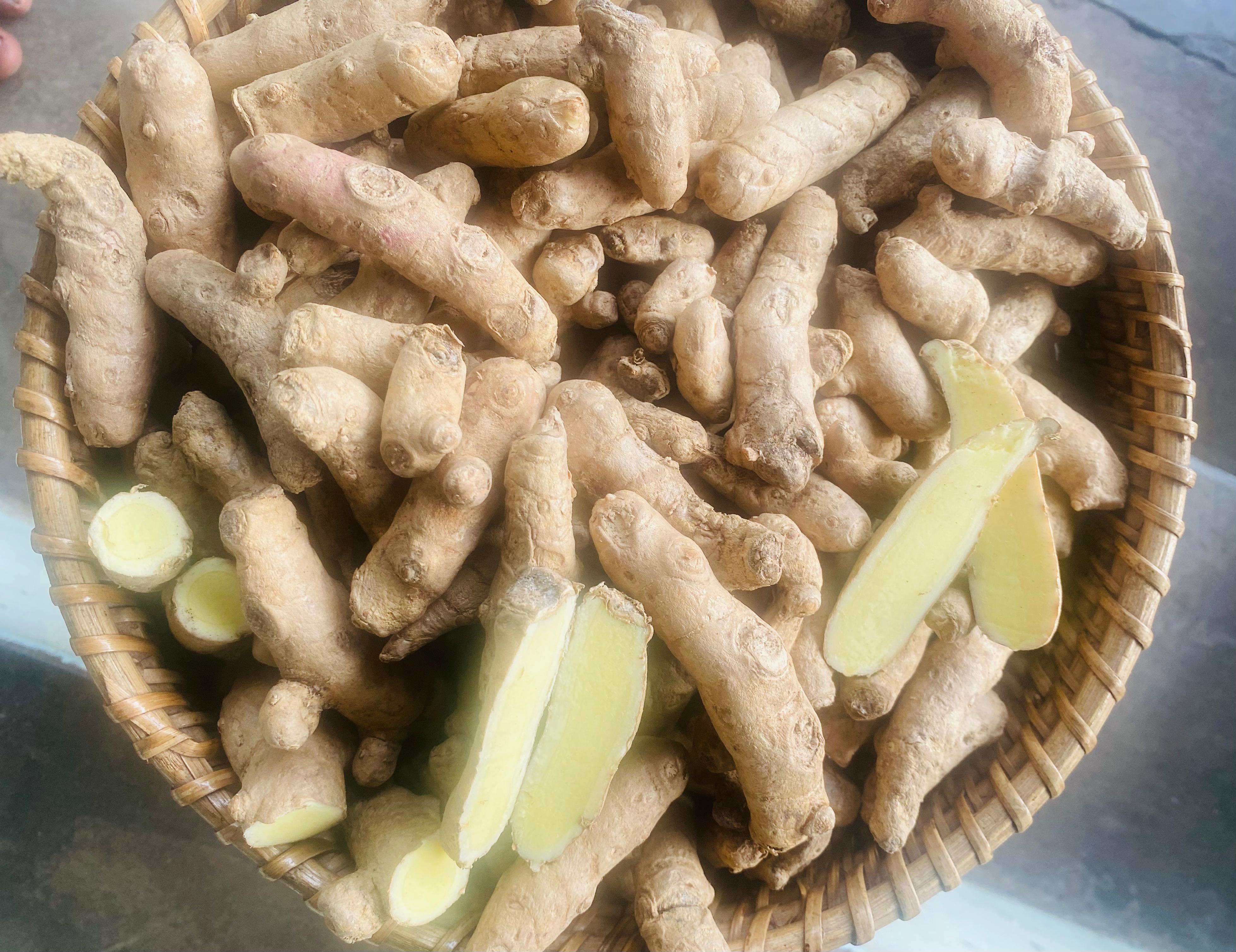 Mango Ginger Seed Mango Ginger Seed