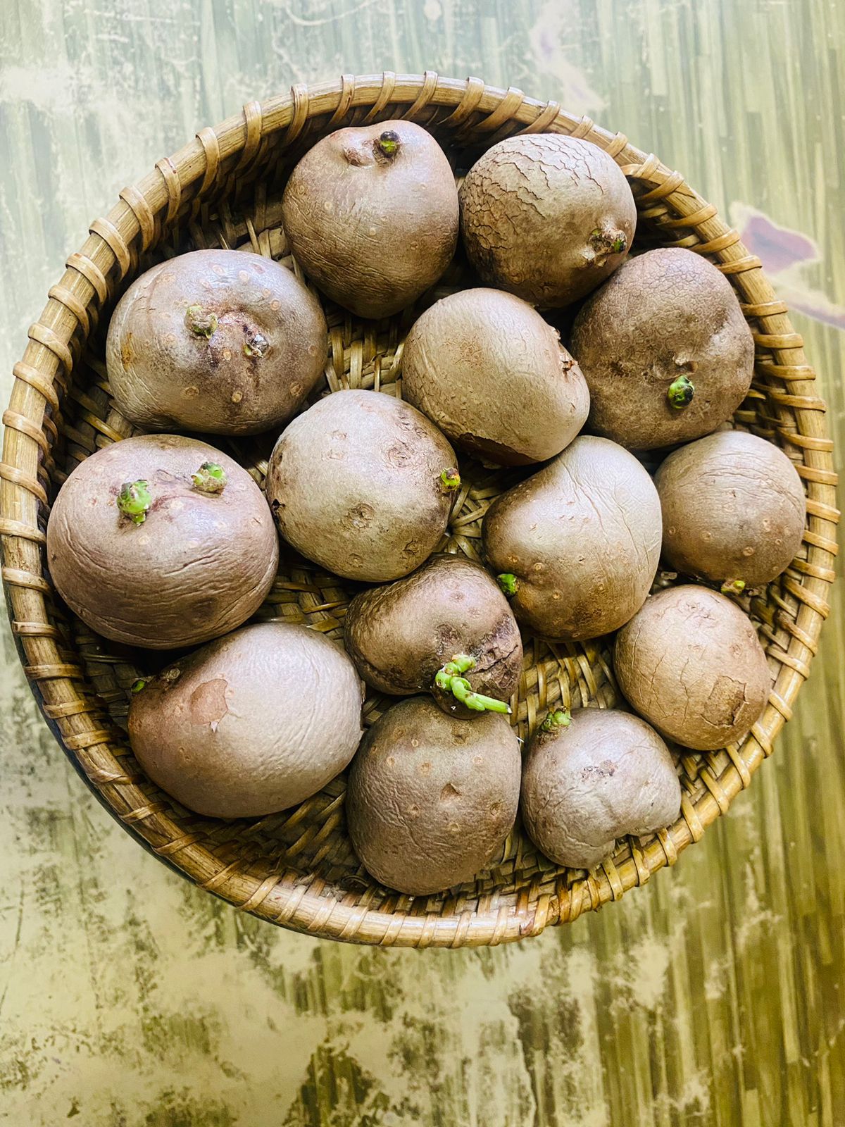Copy of Air potato கொடி உருளை விதை கிழங்கு-SMALL Copy of Air potato கொடி உருளை விதை கிழங்கு-SMALL