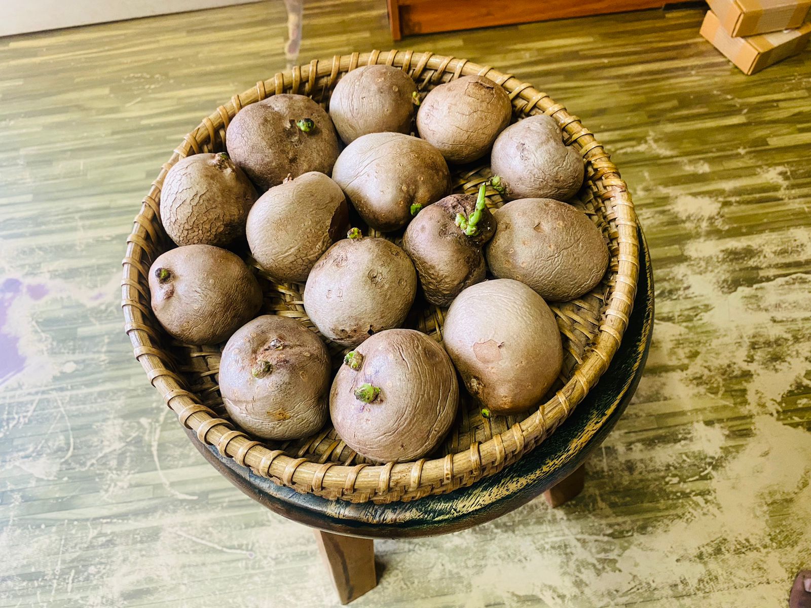 Copy of Air potato கொடி உருளை விதை கிழங்கு-SMALL Copy of Air potato கொடி உருளை விதை கிழங்கு-SMALL