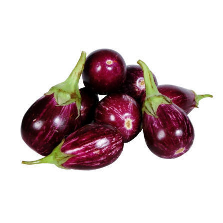 BLUE BRINJAL BLUE BRINJAL