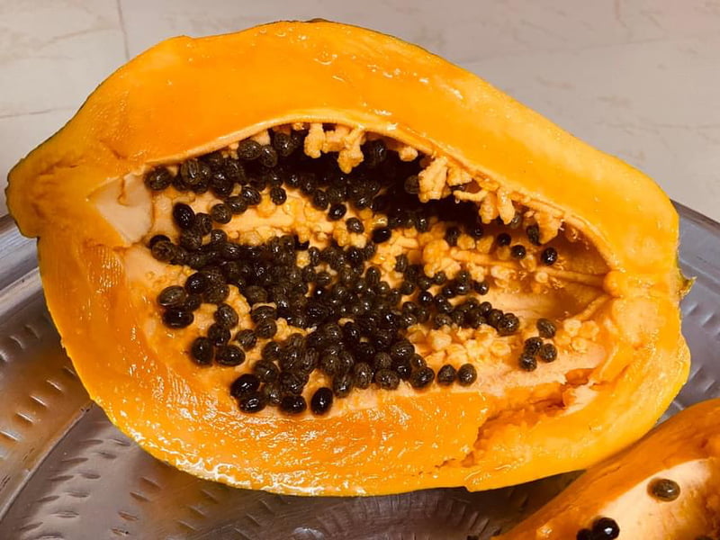 PAPPAYA (பப்பாளி)