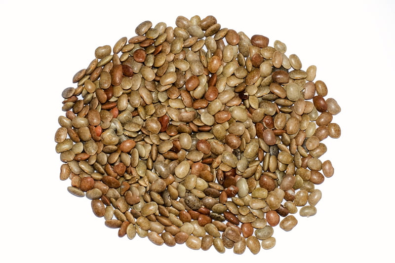 HORSE GRAM 200G KOLLU (கொள்ளு பருப்பு |200G) HORSE GRAM 200G KOLLU (கொள்ளு பருப்பு |200G)