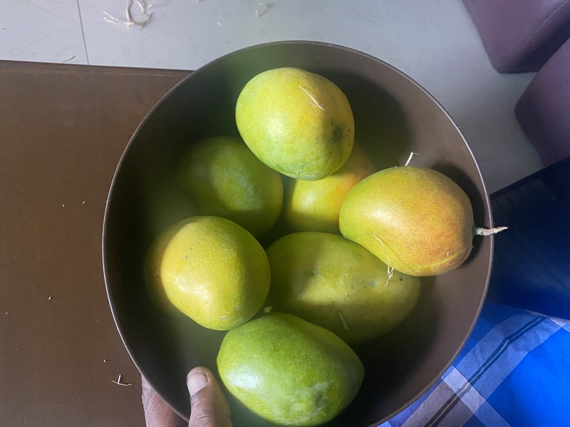 Senthooram Mango 5 KG Senthooram Mango 5 KG