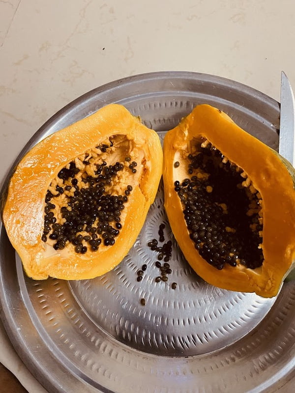 PAPPAYA (பப்பாளி) PAPPAYA (பப்பாளி)