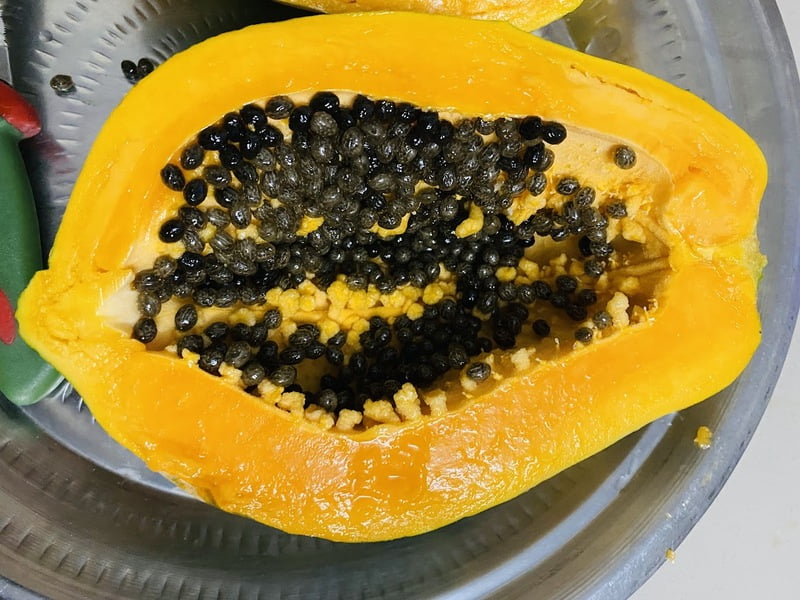 PAPPAYA (பப்பாளி) PAPPAYA (பப்பாளி)