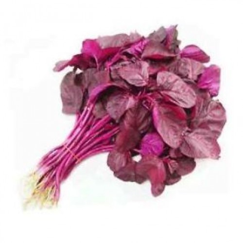 MULAI KEERAI RED ( AMARANTHUS ) MULAI KEERAI RED ( AMARANTHUS )