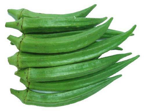 LADIES FINGER LONG GREEN LADIES FINGER LONG GREEN