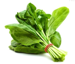 PALAK KEERAI ( SPINACH ) PALAK KEERAI ( SPINACH )