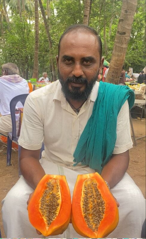 PAPPAYA (பப்பாளி) PAPPAYA (பப்பாளி)
