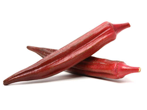 RED LADIES FINGER (சிகப்பு வெண்டை) RED LADIES FINGER (சிகப்பு வெண்டை)