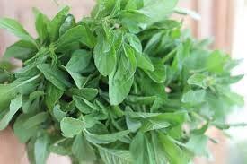 SIRU KEERAI ( TROPICAL AMARANTHUS ) SIRU KEERAI ( TROPICAL AMARANTHUS )