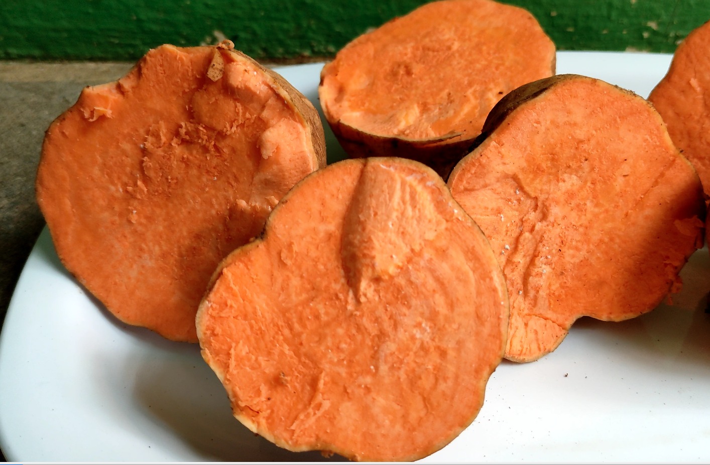Sweet Potatto Seed Sweet Potatto Seed