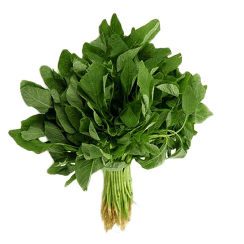 THANDU KEERAI GREEN ( FOXTAIL AMARANTHUS ) THANDU KEERAI GREEN ( FOXTAIL AMARANTHUS )