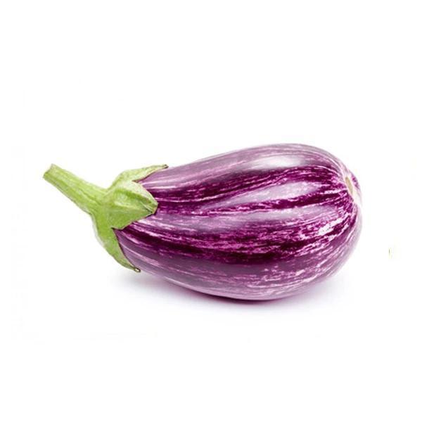 UJALA BRINJAL UJALA BRINJAL