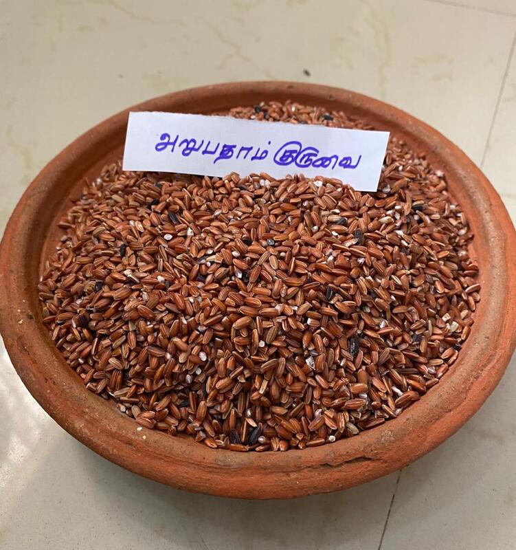 ARUVATHAM KURUVAI KAIKUTHAL 1 KG ARUVATHAM KURUVAI KAIKUTHAL 1 KG