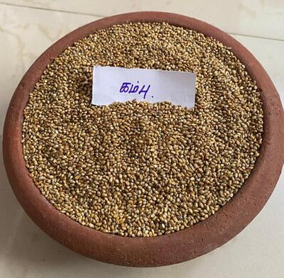 Pearl Millet Seeds (NATTU KAMBU)