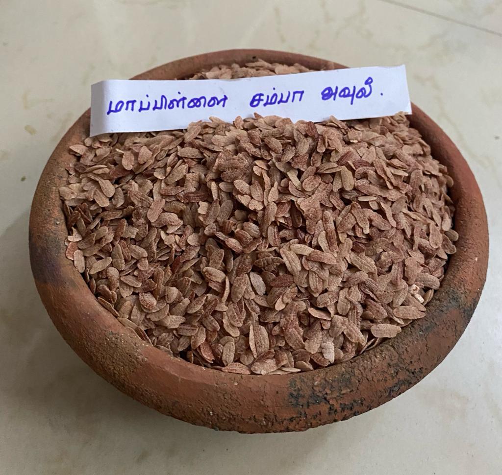 AVL MAPPILAI SAMBA FLAKE 200G (மாப்பிள்ளை சம்பா அவல் | 200G) AVL MAPPILAI SAMBA FLAKE 200G (மாப்பிள்ளை சம்பா அவல் | 200G)