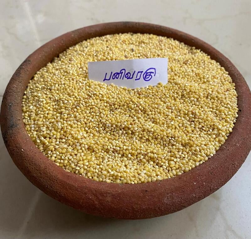 PANI VARAGU PROSO 1KG (பனிவரகு | 1Kg)