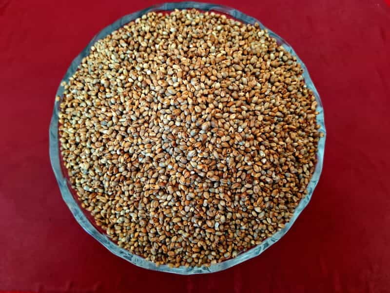 Kambu | Pearl Millet  (நாட்டு கம்பு | 1 Kg)
