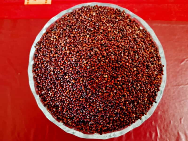 RAGI 1KG (ராகி | கேழ்வரகு | 1 Kg) RAGI 1KG (ராகி | கேழ்வரகு | 1 Kg)