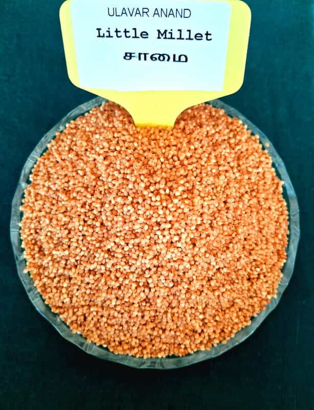 SAMAI LITTLE MILLET 1KG (சாமை | 1 Kg) SAMAI LITTLE MILLET 1KG (சாமை | 1 Kg)