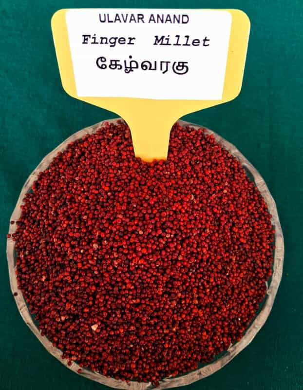 RAGI 1KG (ராகி | கேழ்வரகு | 1 Kg) RAGI 1KG (ராகி | கேழ்வரகு | 1 Kg)