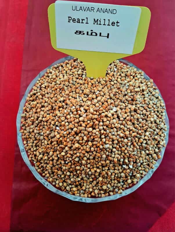 PEARL KAMBU 1KG ( குண்டு கம்பு | 1 Kg) PEARL KAMBU 1KG ( குண்டு கம்பு | 1 Kg)