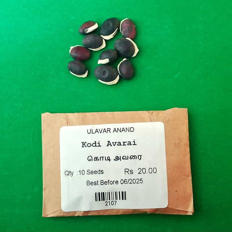 KODI AVARAI ( கொடி அவரை ) KODI AVARAI ( கொடி அவரை )