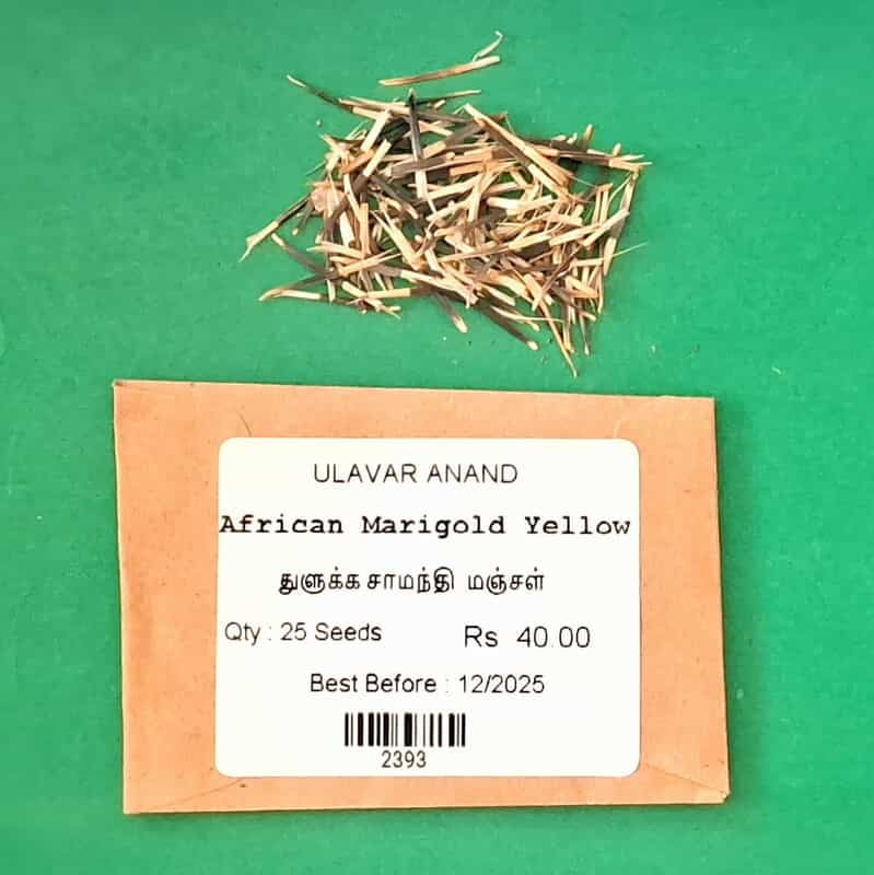 துளுக்க சாமந்தி  மஞ்சள் | African Marigold Yellow