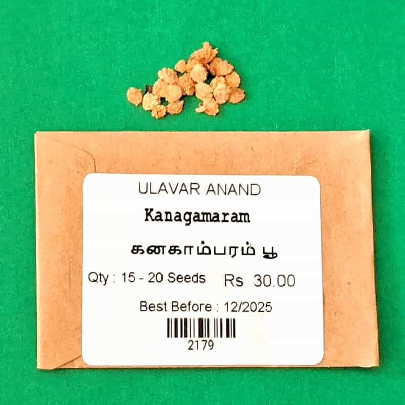 Kanagamaram (கனகாம்பரம் பூ ) Kanagamaram (கனகாம்பரம் பூ )