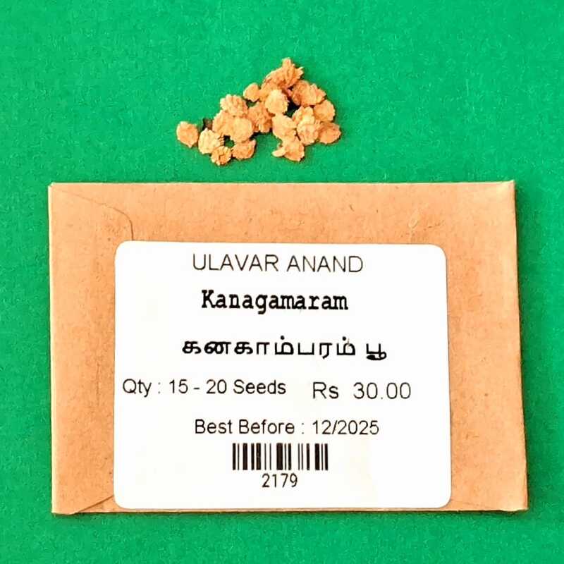 Kanagamaram (கனகாம்பரம் பூ ) Kanagamaram (கனகாம்பரம் பூ )